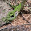 07 Aktion Juli - Freizeit 23